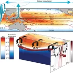 Meccanismi della variabilità decennale del Pacifico tropicale